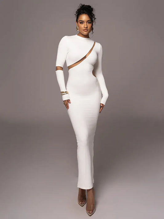 Turtleneck Long Sleeve Bodycon Maxi Dress